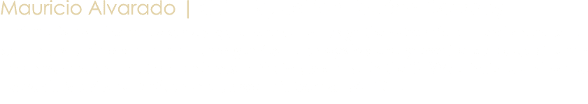 Mauricio Alvarado | CCL Equestrian Tourism Cowboy Industrious – Leonardo can always be counted on to go the extra mil...