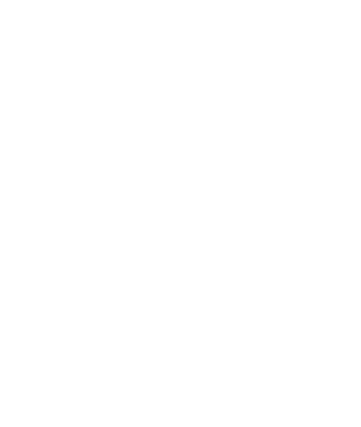 The Belize Brewing Company, Ltd has been brewing Guinness Foreign Extra (GFE) Stout since 1989. It is brewed under st...