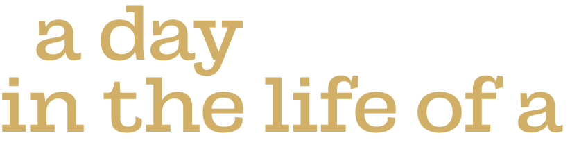  a day in the life of a