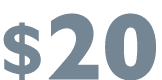 $20