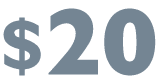 $20