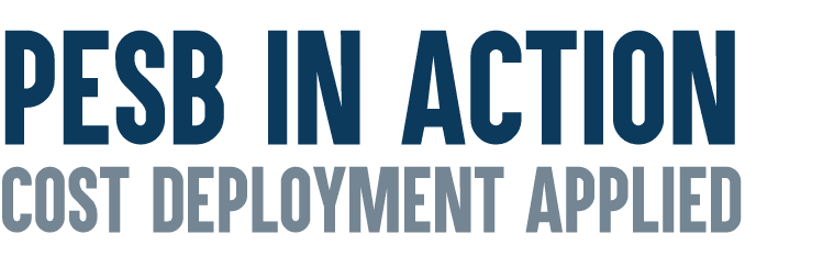 PESB In Action Cost Deployment Applied