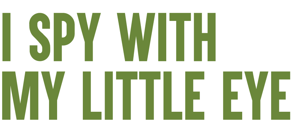 I spy with my little eye 