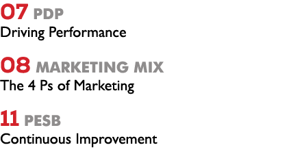 07 Pdp Driving Performance 08 Marketing mix The 4 Ps of Marketing 11 PESB Continuous Improvement