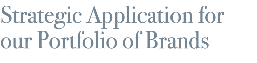 Strategic Application for our Portfolio of Brands 