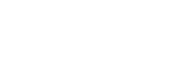 Our values are the stable core safeguarding what we stand for and our identity as a company.