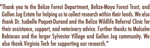 \“Thank you to the Belize Forest Department, Belize-Maya Forest Trust, and Gallon Jug Estate for helping us to collec...