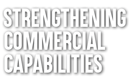 Strengthening Commercial Capabilities