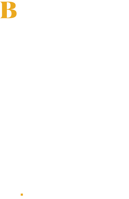 Belikin is more than just a beer—it's a reflection of Belize's rich heritage and a force for amplifying local talent....