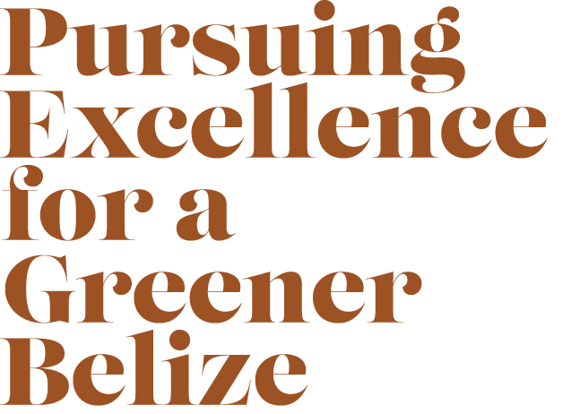 Pursuing Excellence for a Greener Belize