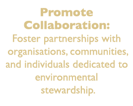 Promote Collaboration: Foster partnerships with organisations, communities, and individuals dedicated to environmenta...