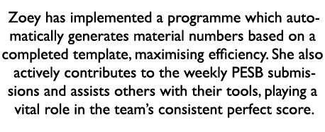 Zoey has implemented a programme which automatically generates material numbers based on a completed template, maximi...