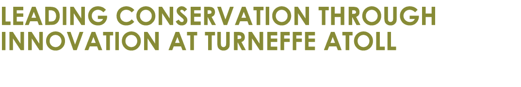 Leading Conservation Through Innovation at Turneffe Atoll 