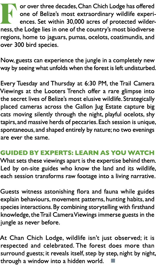 For over three decades, Chan Chich Lodge has offered one of Belize’s most extraordinary wildlife experiences. Set wit...