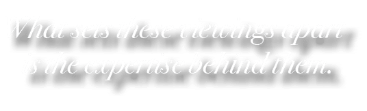 What sets these viewings apart is the expertise behind them.